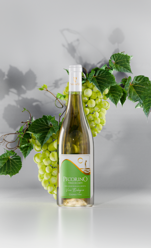 render_art_1a copia2